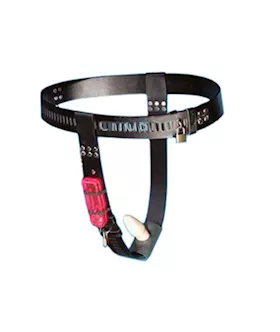 Vibe Anal Toy Chastity Belt