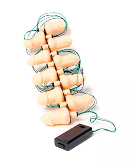 Hens Night Penis Party Lights