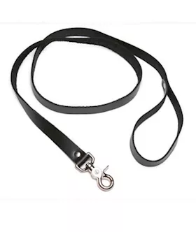 Strict Leather 4 Foot Leash