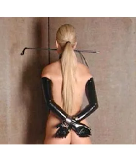 Shoulder Length Latex Gloves