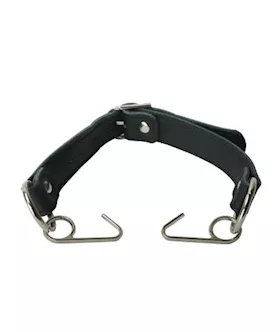 Mouth Hook