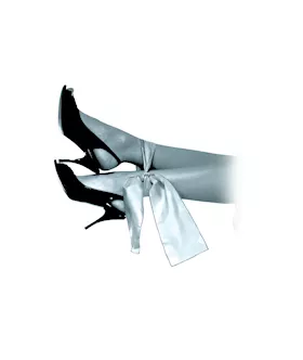 Fetish Fantasy Series Limited Edition Grey Silk Ties