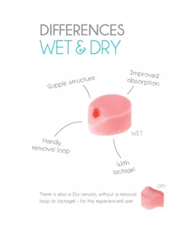 Wet Beppy Sponge