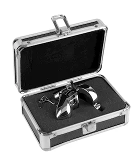 Metal Worx Chastity Head Cage