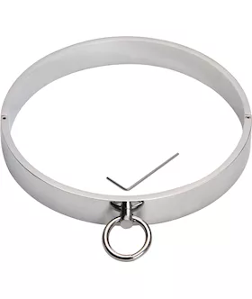 Lockable Metal Collar