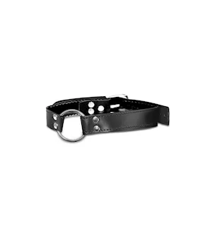 Fetish Fantasy Limited Edition O-ring Gag