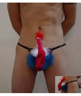 Peacock Panty