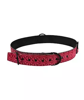 Sinful Restraint Belt S/m