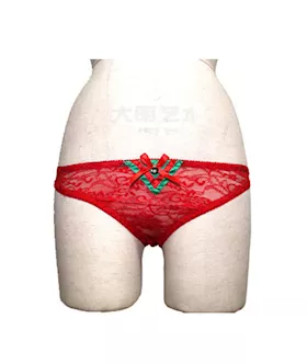 Merry Lace Panty