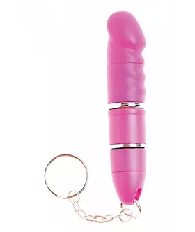 Mystery Vibrator