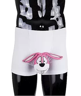 Funny Underwear Rabbit