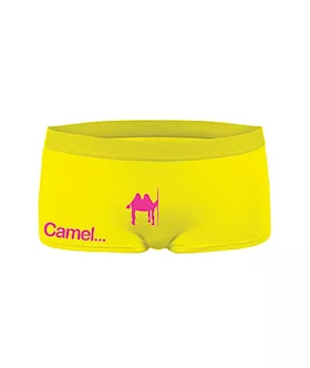 Funny Hipster Camel