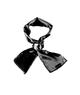 Fetish Fantasy Limited Edition Silky Seduction Kit
