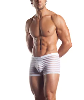 Striped Mesh Boxer