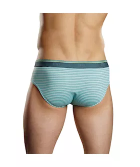 Heather Stripe Bikini Mt/gy
