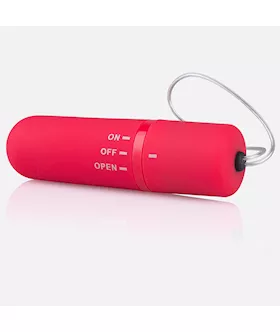 My Secret Screaming O Remote Control Panty Vibe