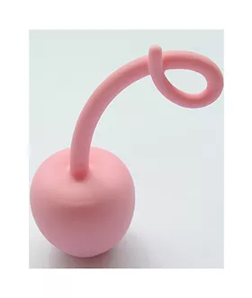 Silicone Curly Tail Butt Plug
