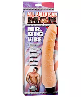 All American Man Mr Big Vibe