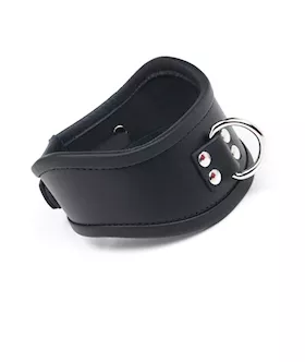 Curved Posture Collar