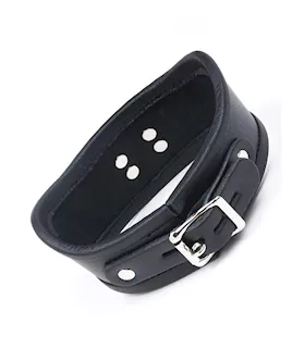 Curved Posture Collar
