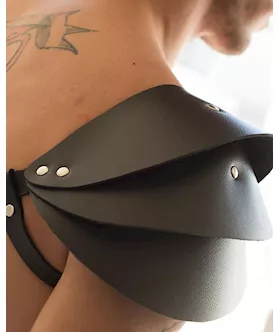Apollo Harness