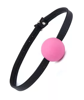 Silicone Ball Gag With Garment Leather Strap