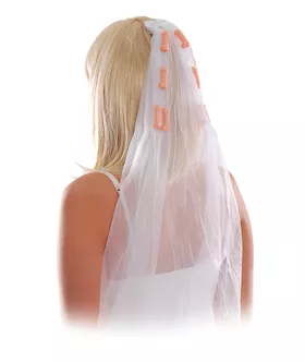 Bachelorette Party Veil