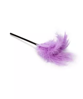 Dr Laura Berman Playroom Shades Of Purple Kit