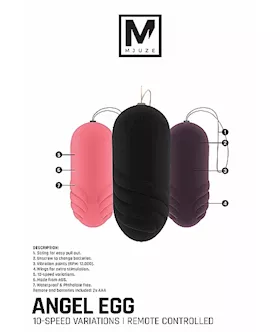 Angel Egg
