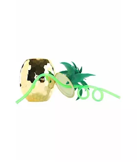 Pineapple Disco Cup