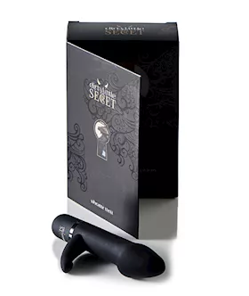 Dirty Little Secret Vibrator Thrill