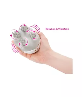 Swan Personal Massage System