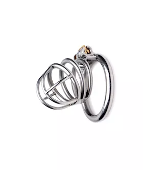 The Pen Deluxe Locking Chastity Cage