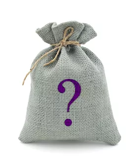 Mystery Bag - Mens Masturbators