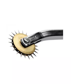 Electric Wartenberg Wheel Estim Kit
