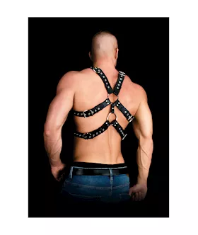 Andreas - Masculine Masterpiece