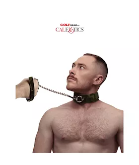 Colt  Collar & Leash