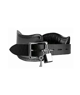 Locking Posture Collar