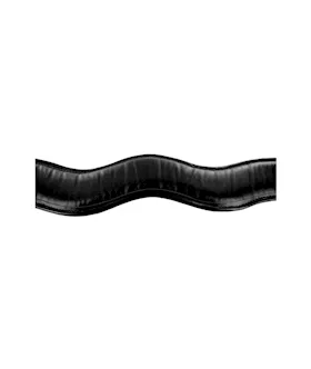 Locking Posture Collar