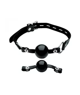 Interchangeable Silicone Ball Gag Set
