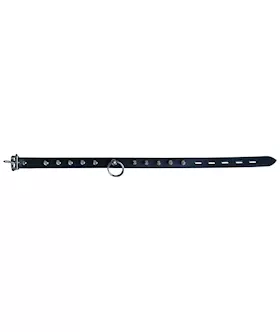 Spiked Leather Collar