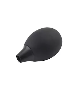 The Bulb
