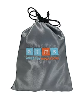 Padded Small Toy Storage Bag 