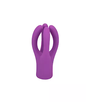 Replaceable Head Massager 