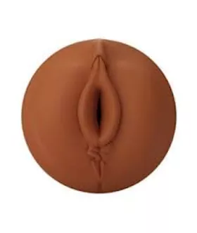 Autoblow AI Silicone Vagina Sleeve