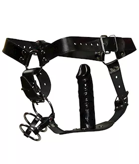 Plug Harness With Cock Rings
