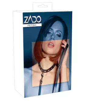 Leather Collar And Leash
