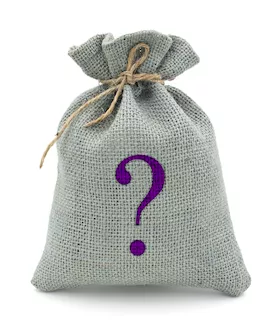 Mystery Bag - Rabbit Vibrator