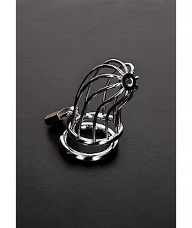 Bird Cage Chastity Device 