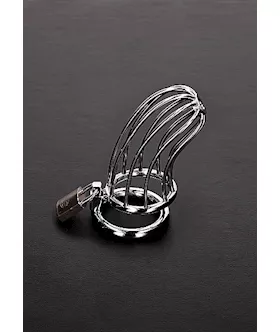 Bird Cage Chastity Device 
